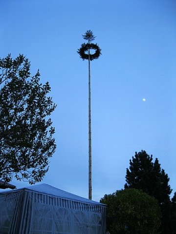 c_IMG_3177
